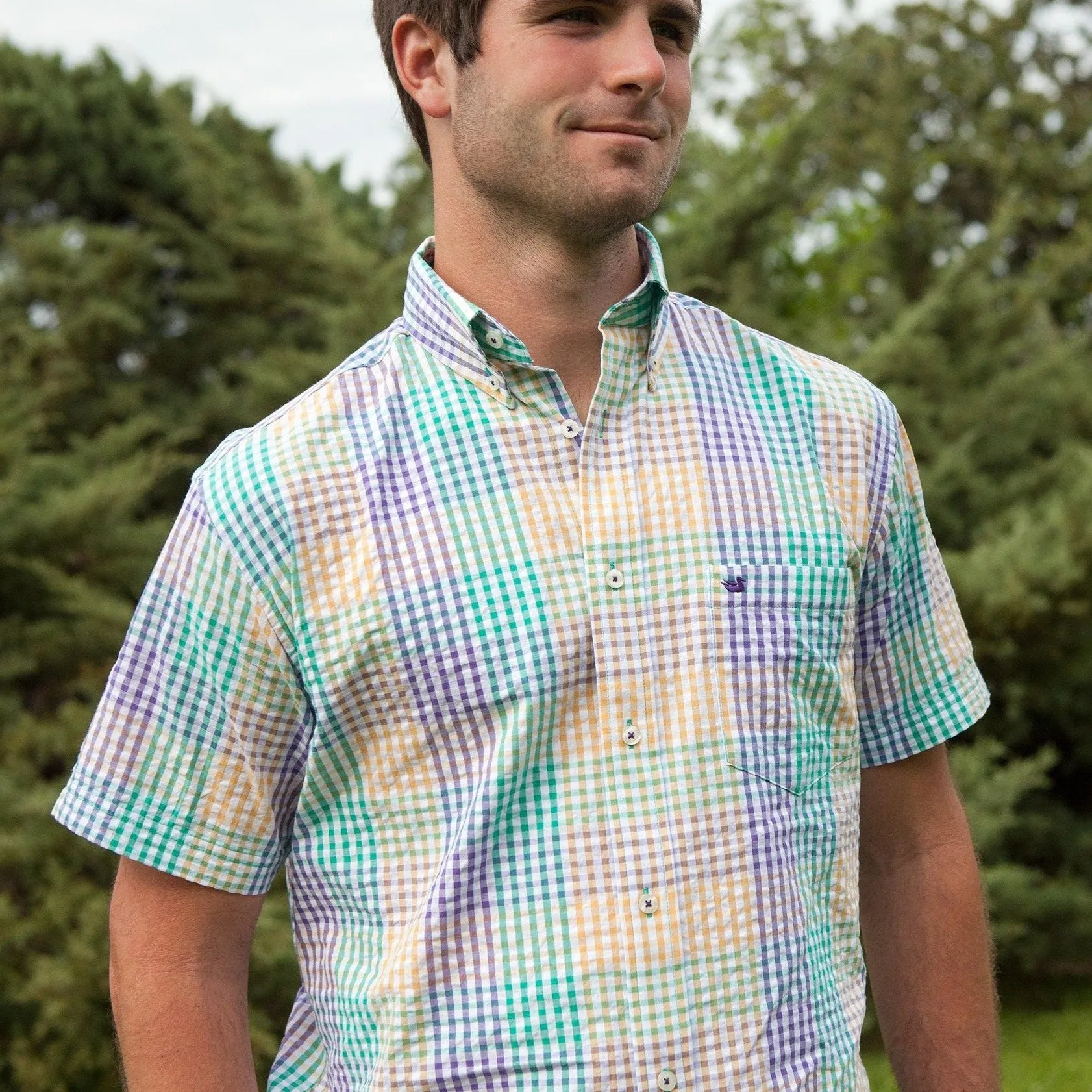 Everett Gingham Dress Shirt - Short Sleeve