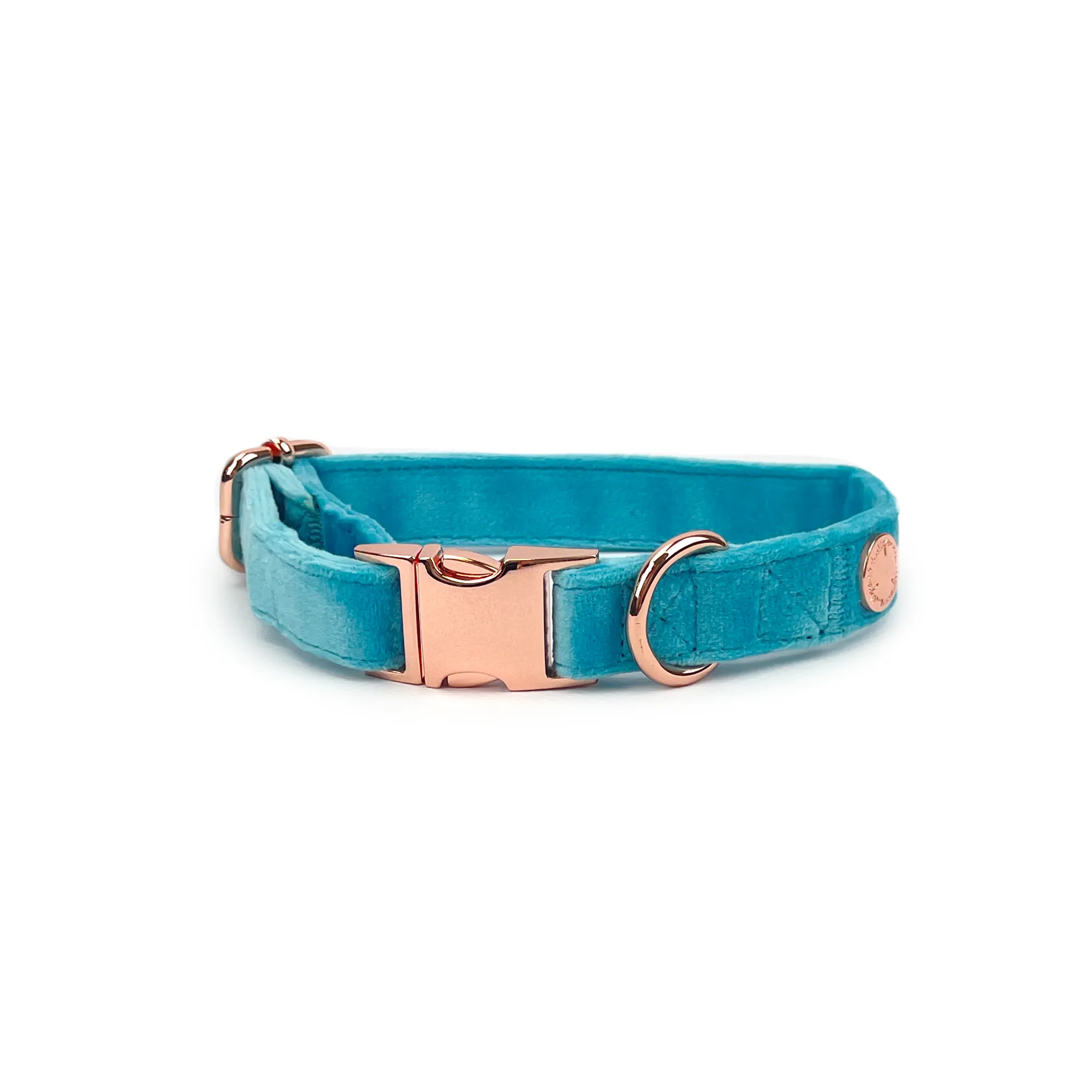 Velvet Collar // Caribbean Blue